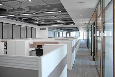 IMG_8244(001) IMG_8244(001)